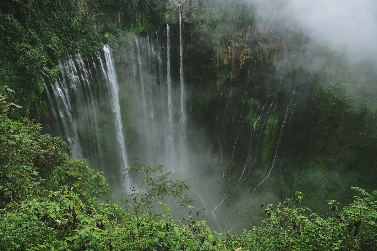 “Worry never robs tomorrow of its sorrow. It only saps today of its joy.”

Leo Buscaglia

Image: Sewu Waterfall (Indonesia)

Author: Agto Nugroho unsplash.com/es/@agto