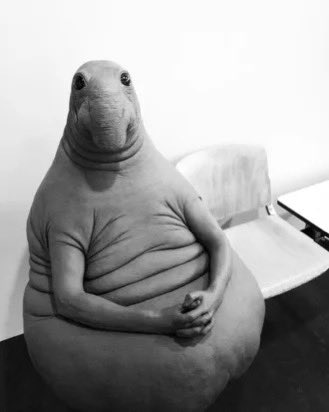 WordOfMeowthTCG's tweet image. Having an order in queue at BGS, PSA and CGC simultaneously, knowing that they are all going untouched for a while bc of The National
