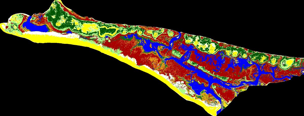 NC State BAE tweet media