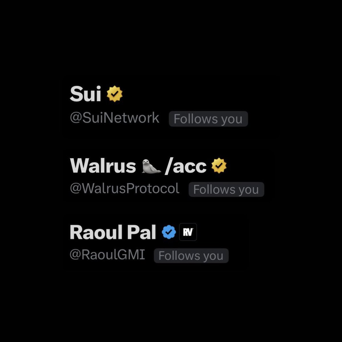 matteodotsui's tweet image. 2025 such a good year so far
