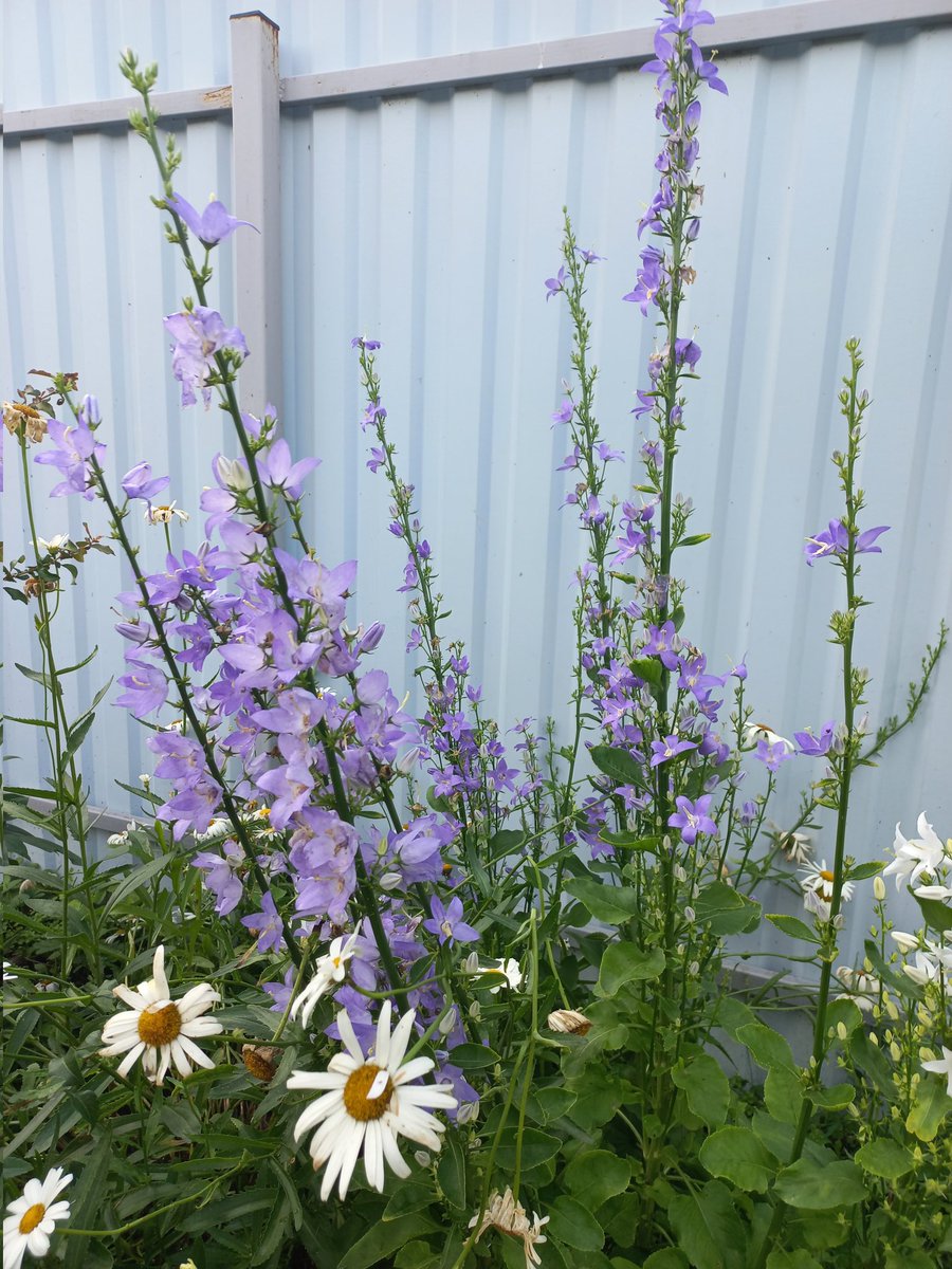 Инесса Купцова (@inessuspeshnaya) on Twitter photo 