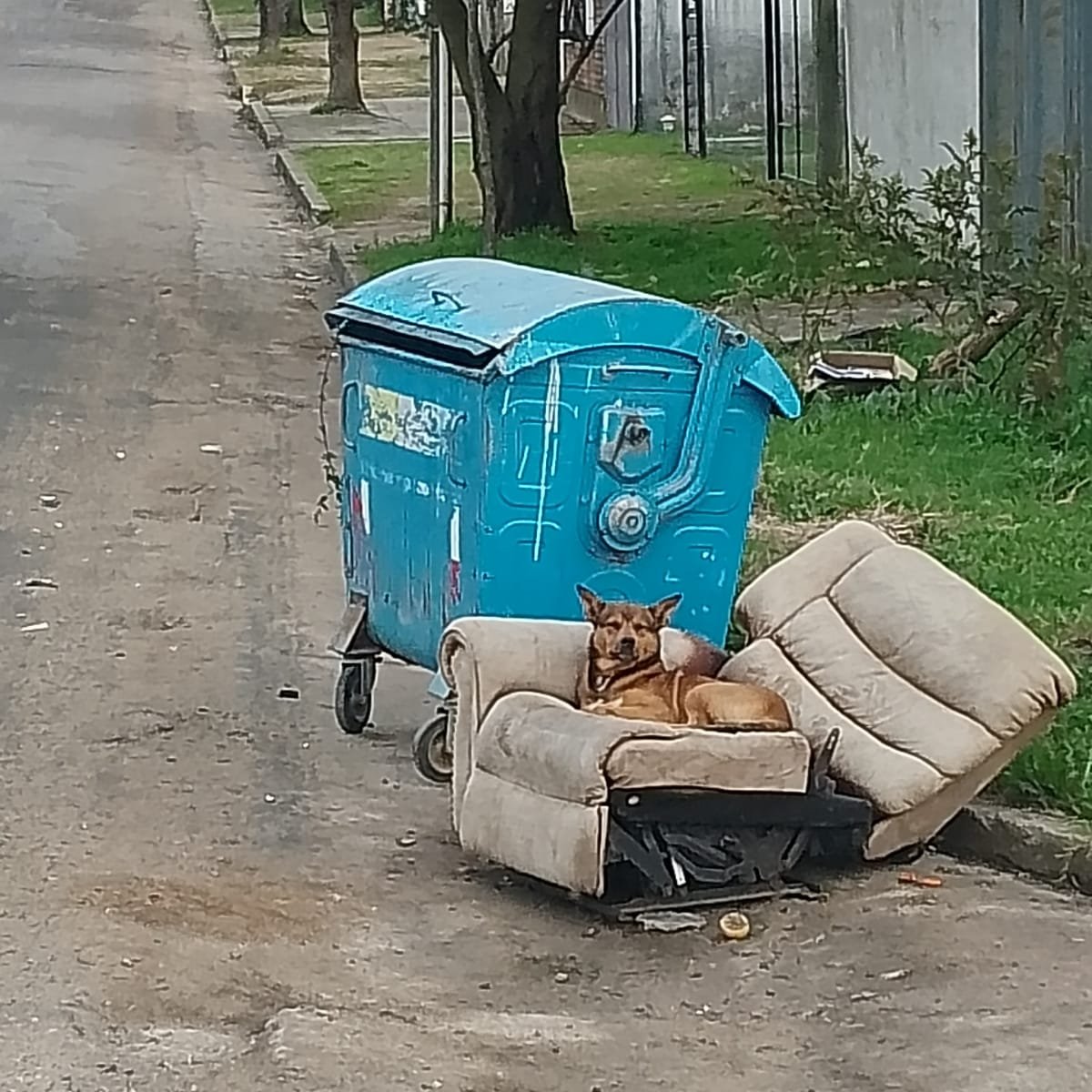 Cosas de Florida: Imagen enviada por oyente corresponsal al 092120033