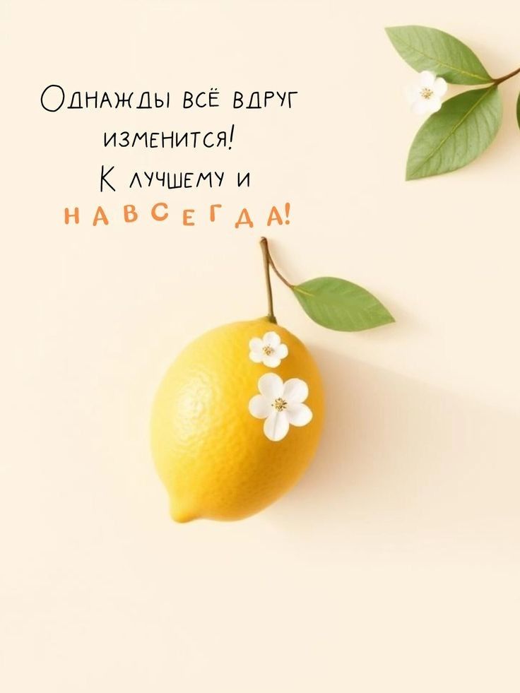 Инесса Купцова (@inessuspeshnaya) on Twitter photo 