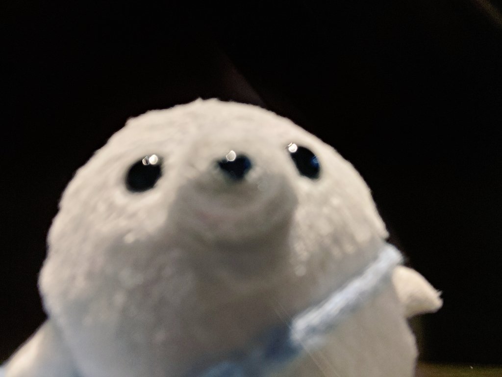 gomanosuke613's tweet image. じどり？
ごまのすけ とれてる🦭📷️？