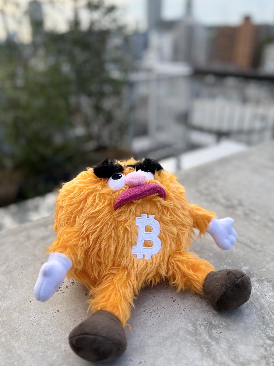 SatoshiSisters0's tweet image. 空を見て物思いにふける
ビットコインパペットくん
@lightningbasejp