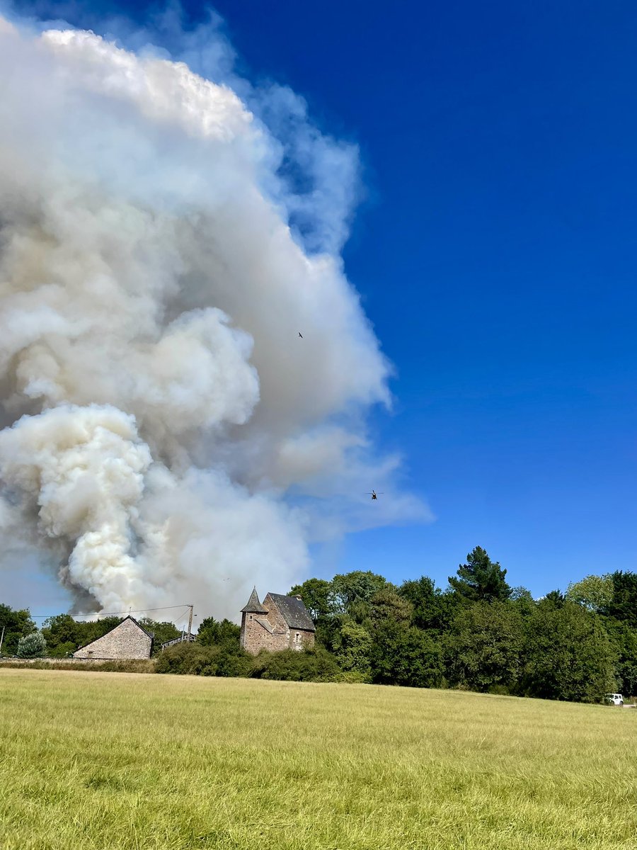 azo 🇫🇷🇵🇸 tweet media