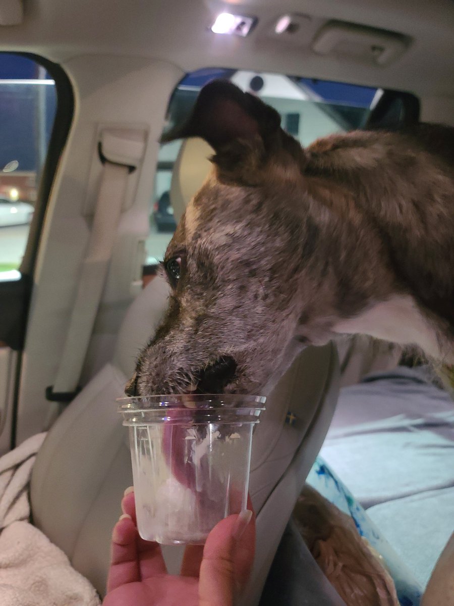 We had the best beach day yesterday 🏖
And topped it off with a DQ pup cup🍦