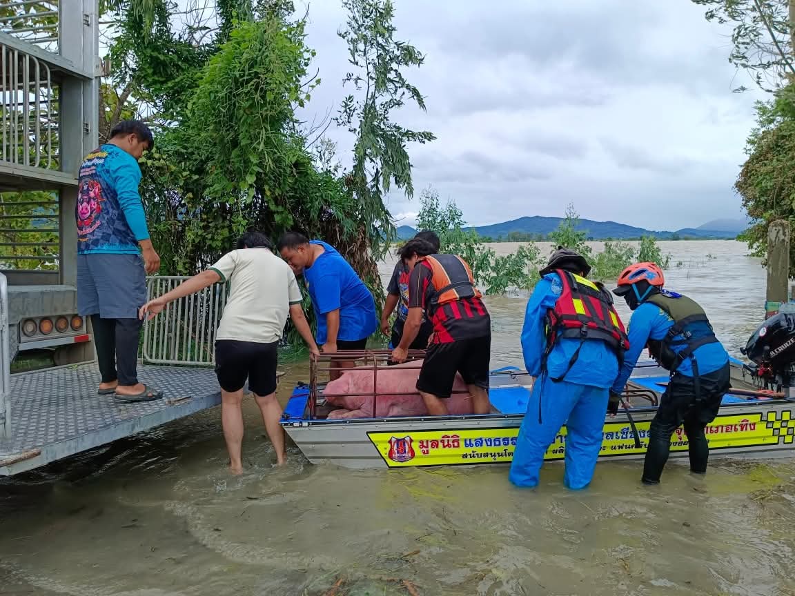 จุดเล็กๆบนดาว702⭐ tweet media