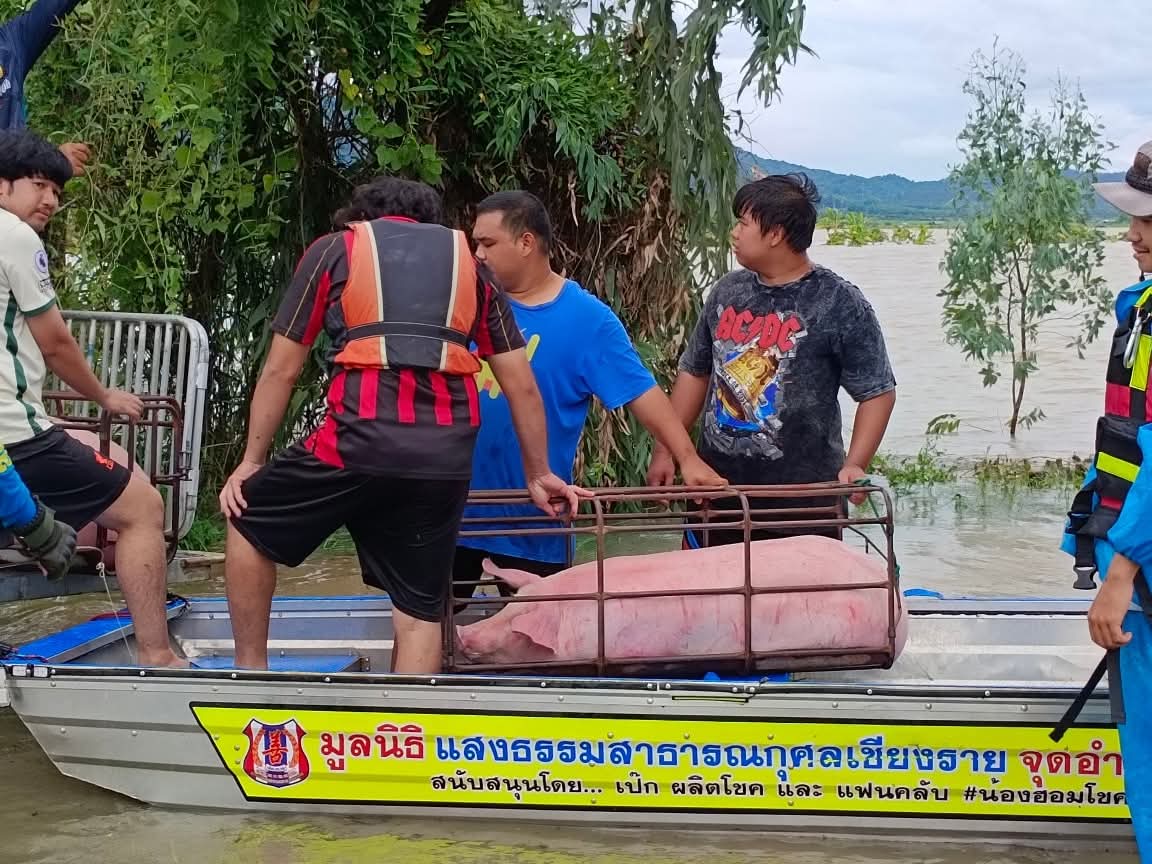 จุดเล็กๆบนดาว702⭐ tweet media