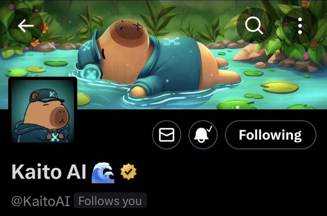 EmmarkGadgets's tweet image. Omg just woke up to a follow from the official Kaito account🤯🤯
Best weekend gift ever 😭😭
Gm if you Gm
