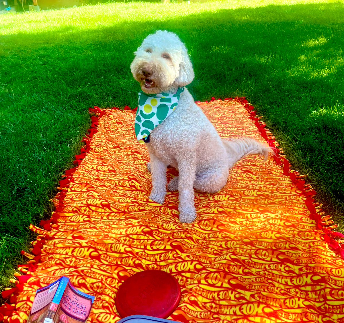 Summer picnic time!

🧺🐩😎🌞

#Doodle 
#PicnicBlanket