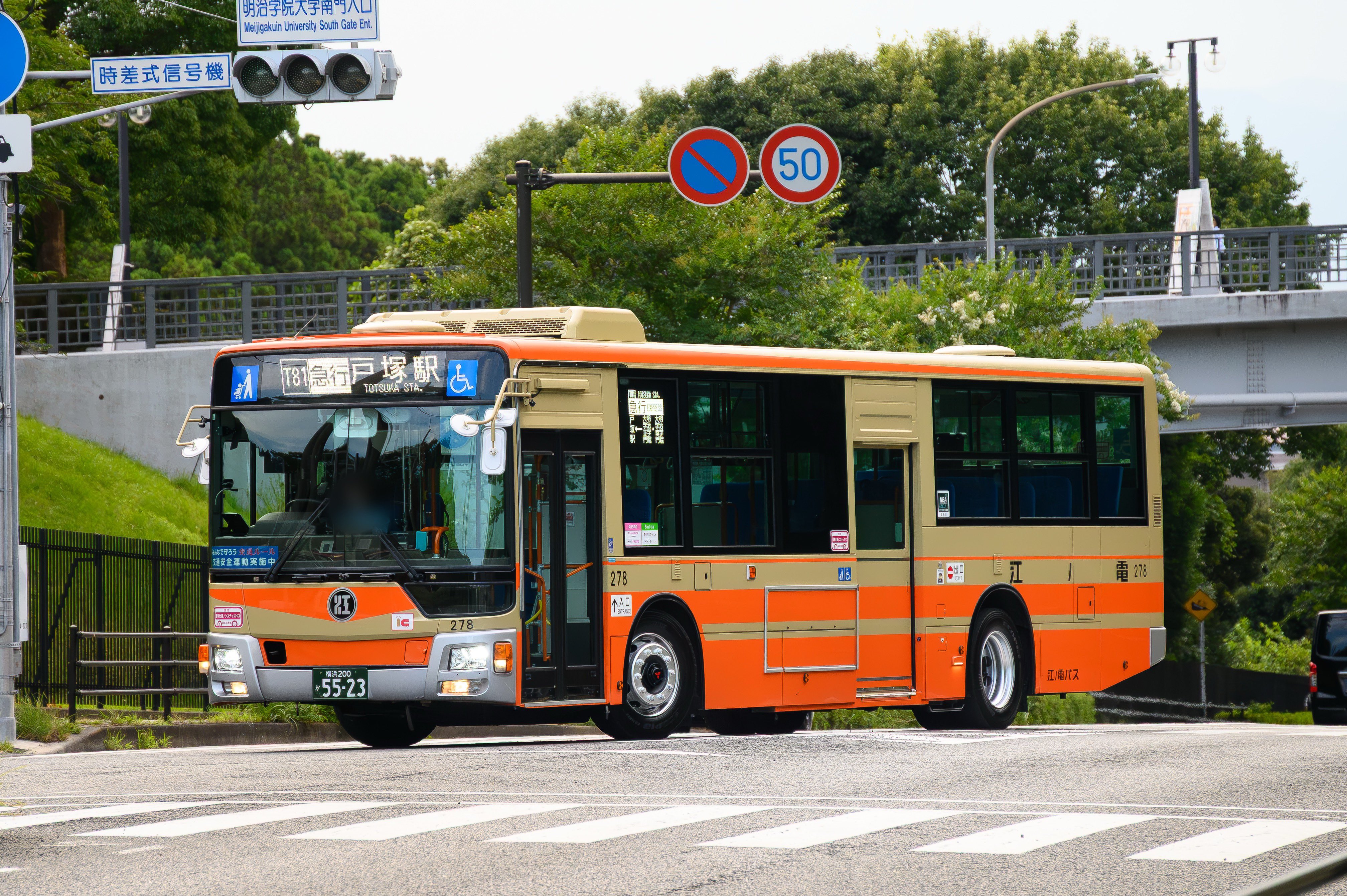 【希少】地平線への旅 渡れそうで、渡れない。 辿り着く事もできない橋。 実は元々は川