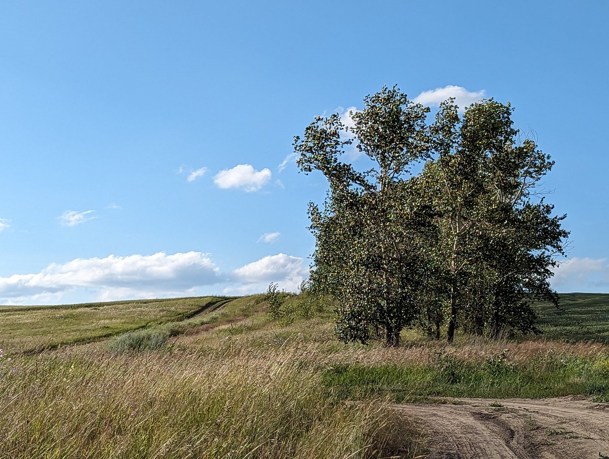 str1ve🦊 (@str1ve21) on Twitter photo 