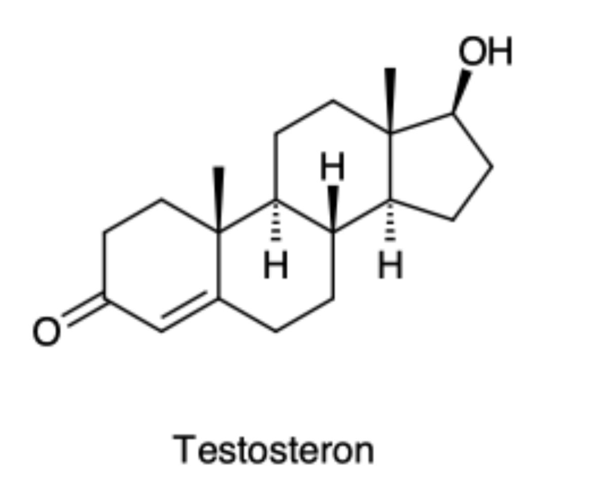Messorem37's tweet image. TESTOSTERONE: Your secret weapon for FAT LOSS, ENERGY, and MUSCLE yet most don’t realize how critical it is.
Here’s how to know if your testosterone is low, what causes it, and what to do about it:
Signs of low testosterone impacting fat loss:
#1 STUBBORN BELLY FAT & LOW…