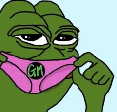emperorpeppe's tweet image. Gm Gm 🐸

If you reply, I’m following you
