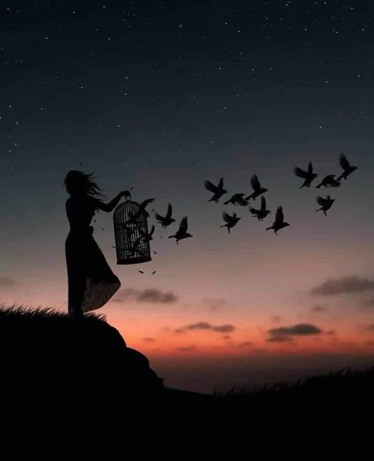 सुन...

मेरो भित्र केही टुटेको थियो

सायद त्यो विश्वास थियो या

सायद त्यो तिम्रो लागि सम्मान थियो,

जे थियो त्यो अब रहेन...!
#पुरानो_डायरी #अन्तिमपाना