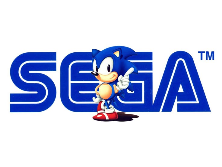SonicEnjoyer__'s tweet image. What is the worst thing Sega has done to sonic?