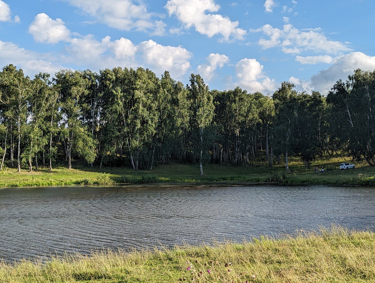 str1ve🦊 (@str1ve21) on Twitter photo 