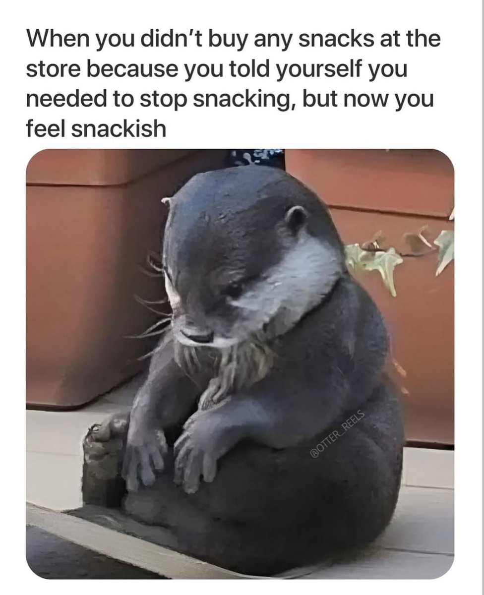 🤣🤣🤣🤣🤣🤣🤣🤣