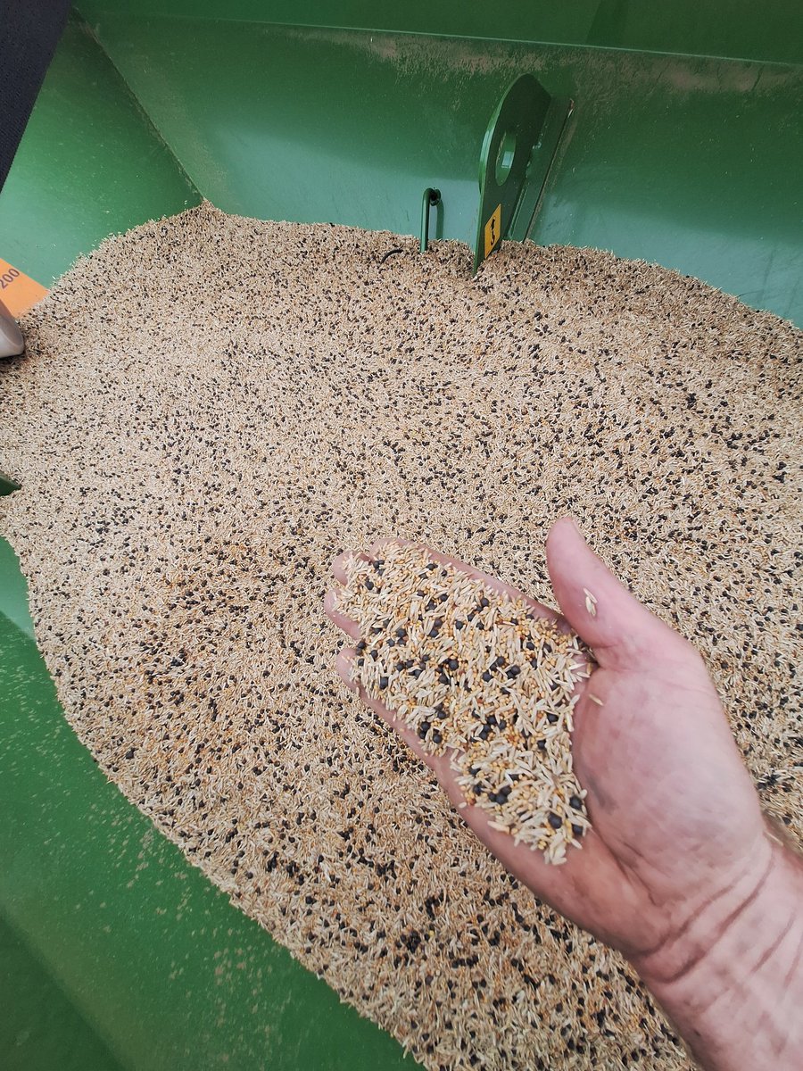 Gepensioneerden houden de jeugd aan het werk.
Bevoorrading voor mens en machine
Old skool trekker vs AI trekker.
#FarmLife