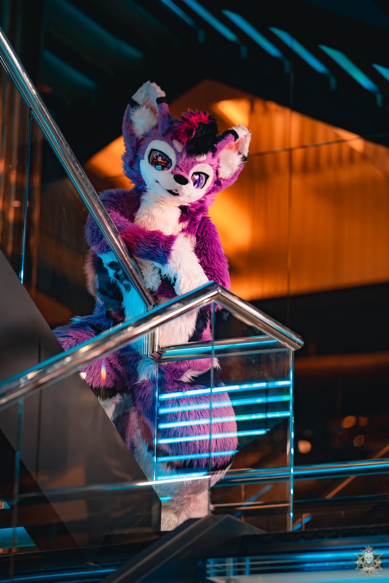 Huskyaoo's tweet image. Follow me upstairs~ ✨
📸: @BenzaiWolfx0v0
#FursuitFriday #UTFG2025