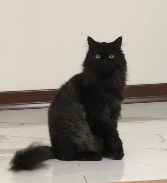 waziratalto3ris's tweet image. البس لي عندي كتير عاطي على نبع الحنان لما ارجع متأخرة على البيت 😪.