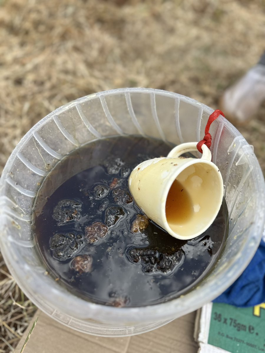 Asswetooo's tweet image. Kuna nyuki🐝🐝🐝 zilinivisit uko shagz na zikaamua kustay permanently, nikaona instead of chasing them away I can be a honey vendor. Nikifungua biz ya asali ata an affordable price mtanipromote?
