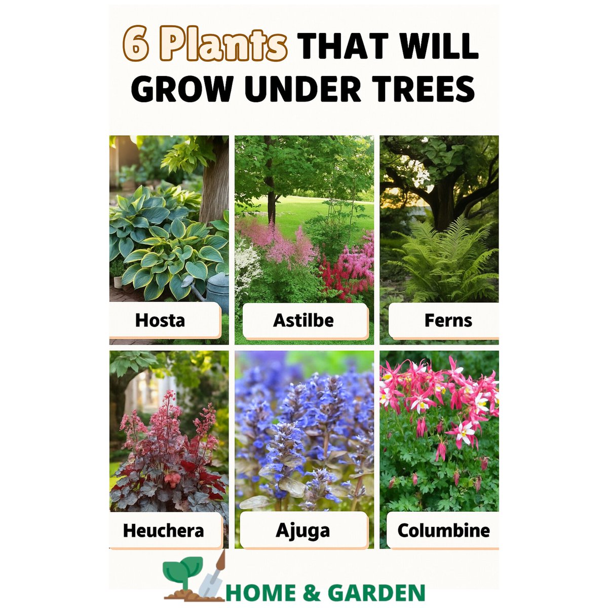 Homegardeen's tweet photo. 6 Beautiful Plants That Thrive Under Trees

Visit The Website for more ideas

https://t.co/55OQWszqFy

#ShadeLovingPlants #UnderTreeGarden #Hosta #Astilbe #Ferns #Heuchera #Ajuga #Columbine #GardeningTips #GardenDesign #HomeAndGarden #ShadyGardenIdeas #LowLightPlants https://t.co/7AwvO5I5np