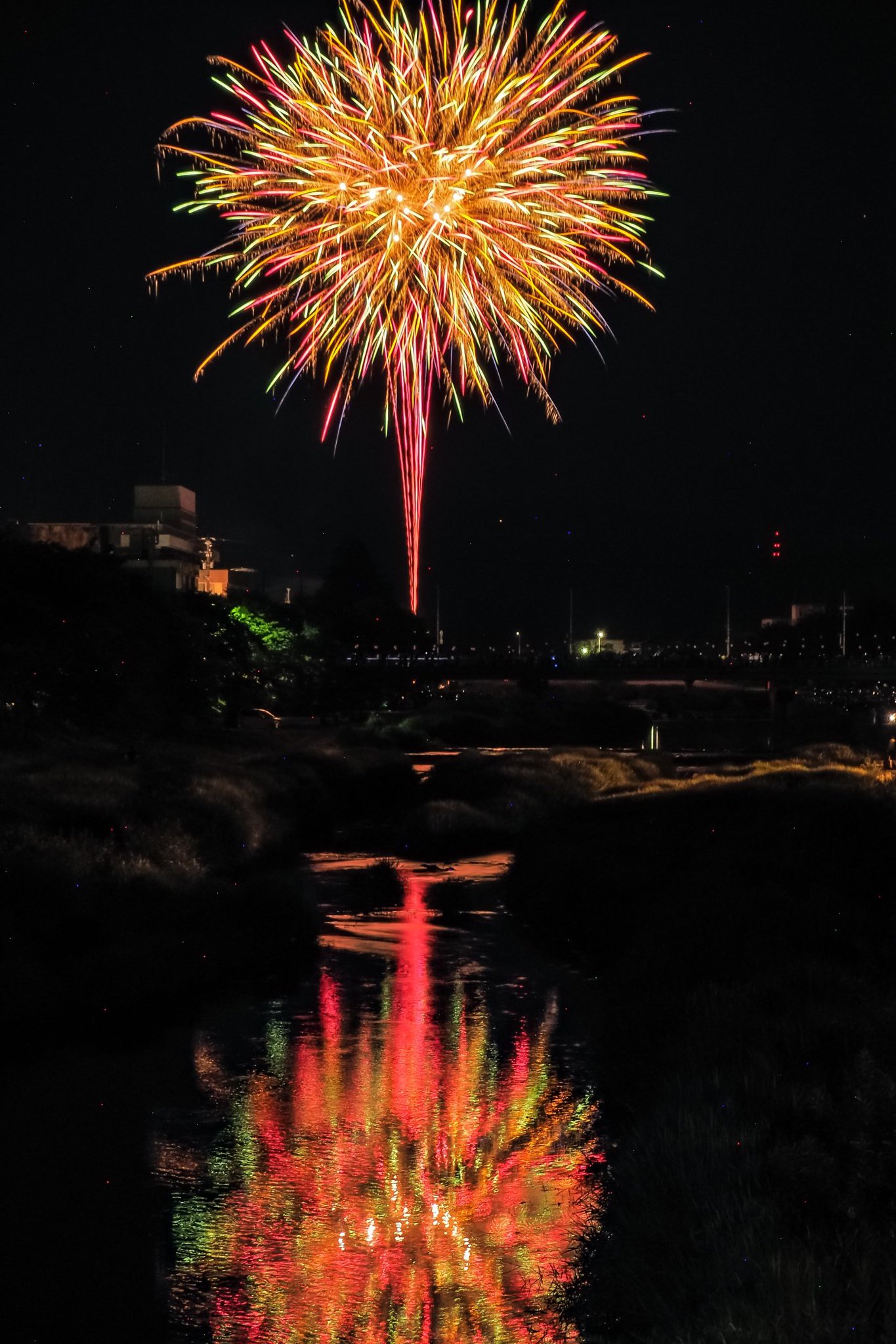 花火＊無言可様専用 【公式通販】