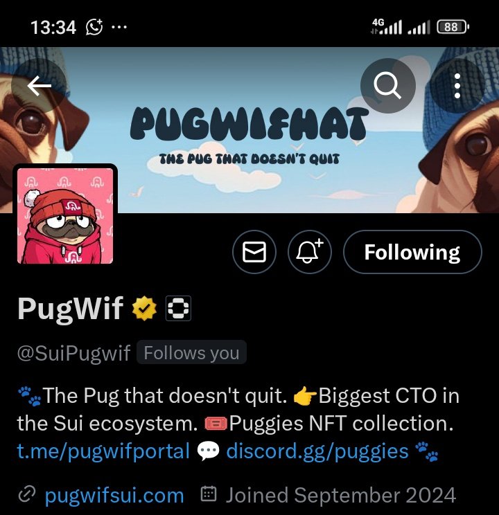 Defi_Godwinnn's tweet image. A big win for me today 🙂‍↔️❤️
@SuiPugwif just blessed me with a follow 🔥

Stay puggish guys 🐾
