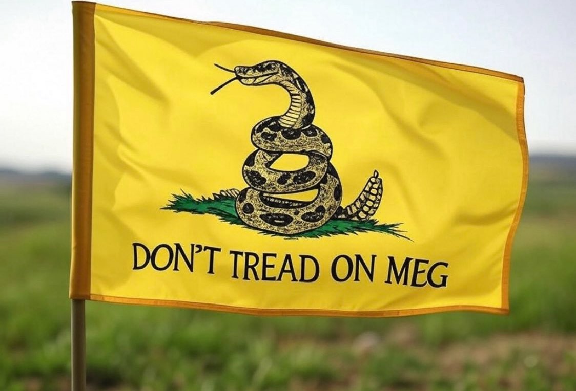 Scrambledmegx's tweet image. 