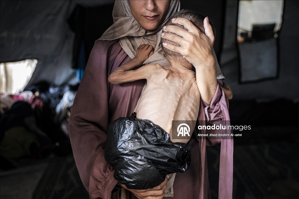 We have learnt nothing from the past hundred years. Our world needs to be remade again, a world which permits this overt, undisguised, intimately recorded genocide is a world devoid of humanity, of anything other than the simplest mechanisms of hate and territorial lust.