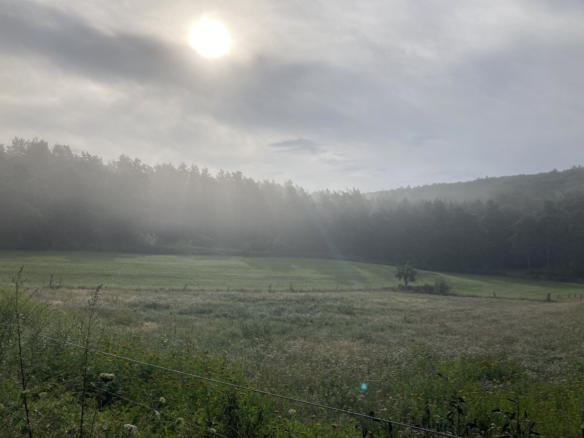 AnneOfTheBooks's tweet image. Morning walk in Germany