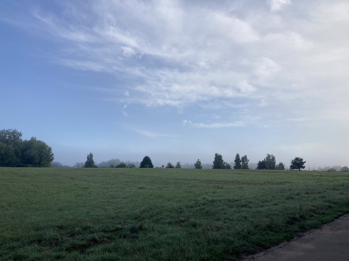 AnneOfTheBooks's tweet image. Morning walk in Germany