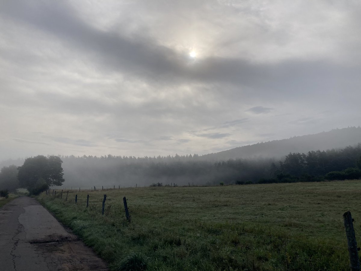 AnneOfTheBooks's tweet image. Morning walk in Germany