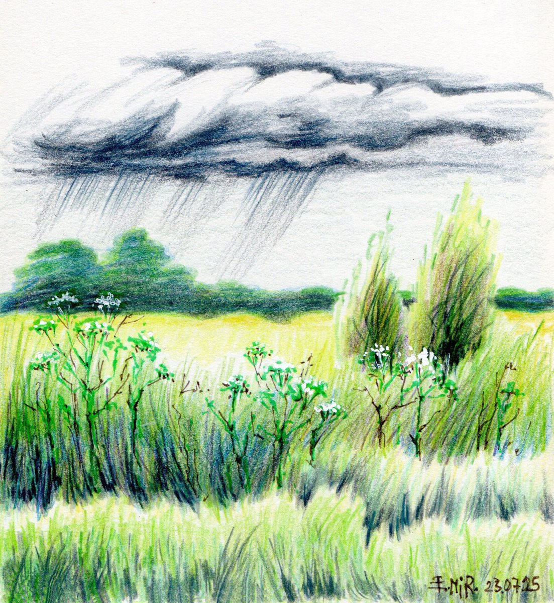 Elena Miron tweet media