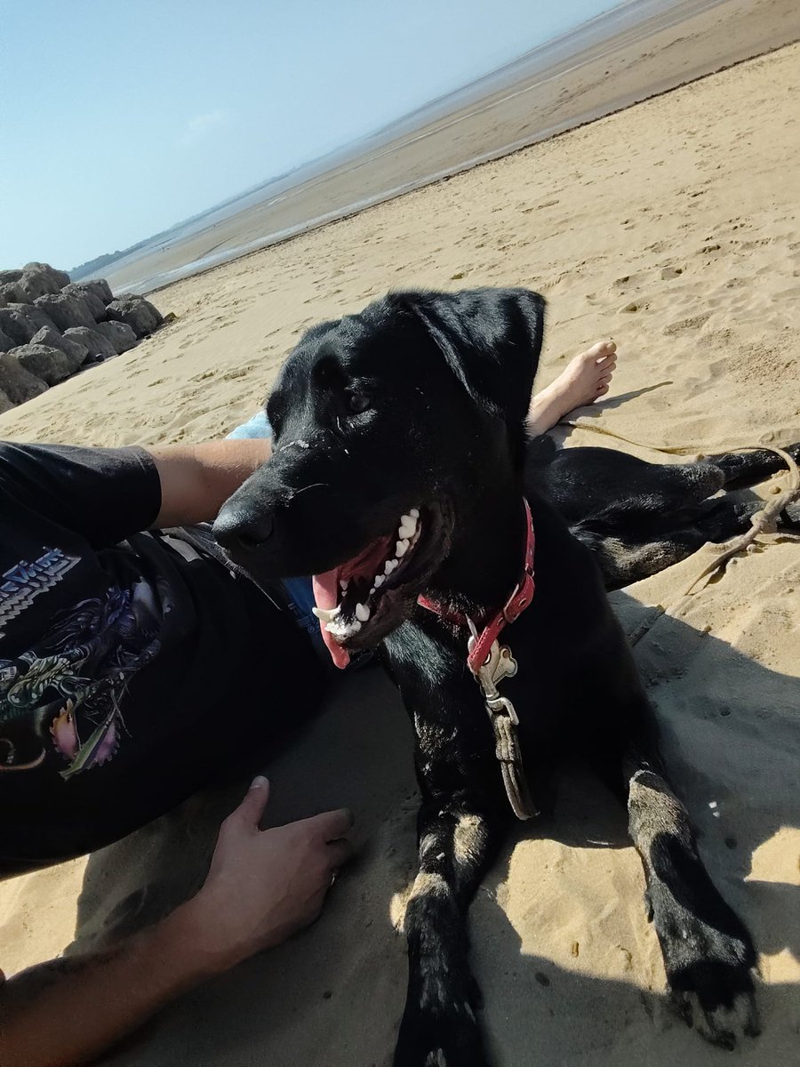 RMFrancis's tweet image. Burnham on Sea, you never let us down. Life is good.