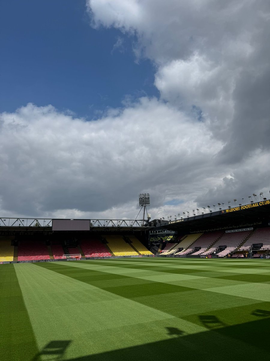 Scott Tingley tweet media