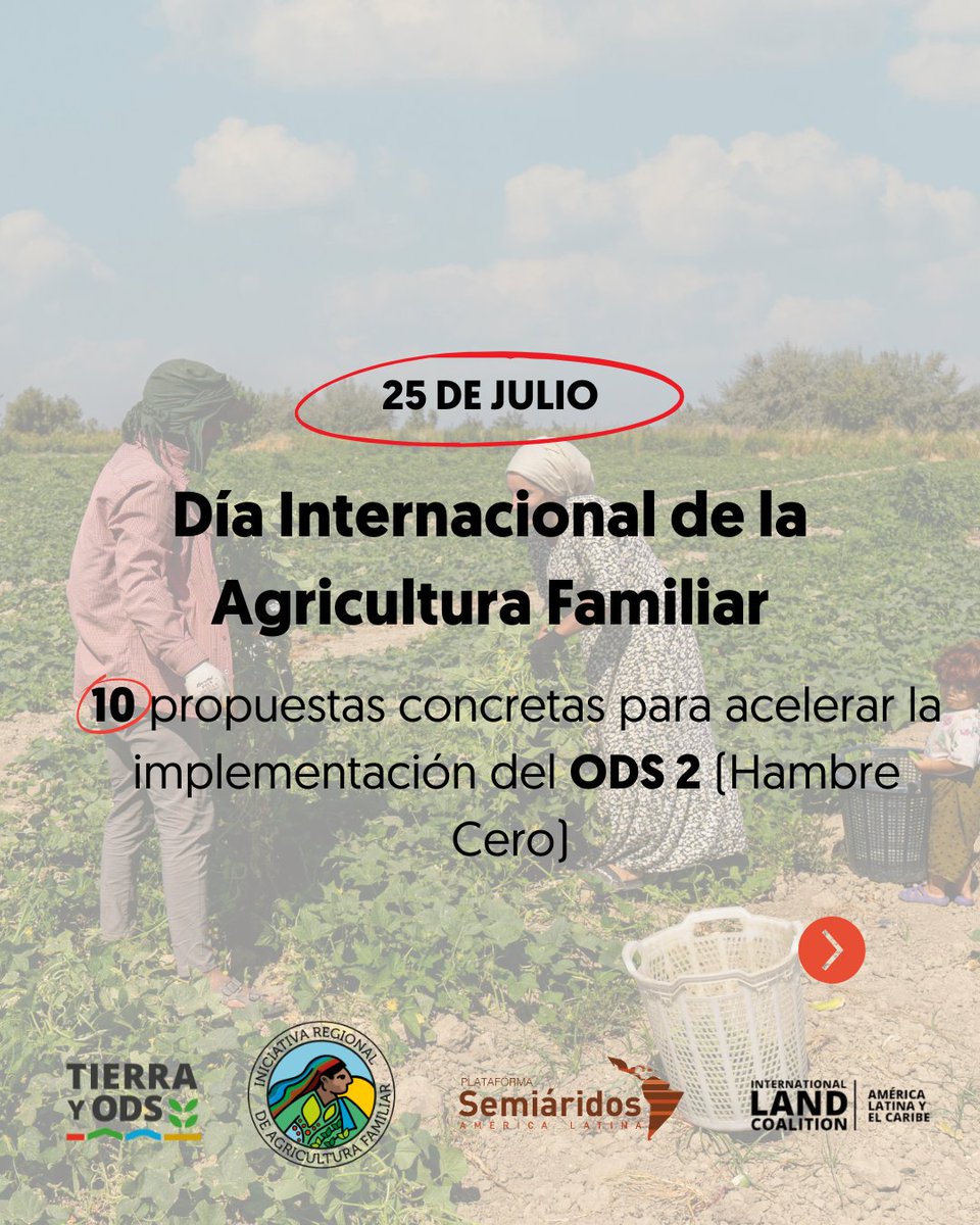 tierraYODS tweet media