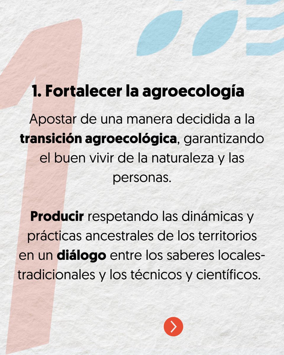 tierraYODS tweet media