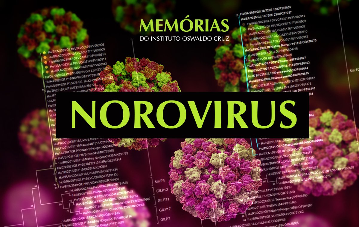 The first report of a rare recombinant norovirus strain in Brazi is the subject of a paper published in <a href="/MemoriasJournal/">Memorias Journal</a>. Norovirus sequences from specimens from 5 people shared 100% of nucleotide identity, and had the highest similarity with a South Africa GII.10 strain detected