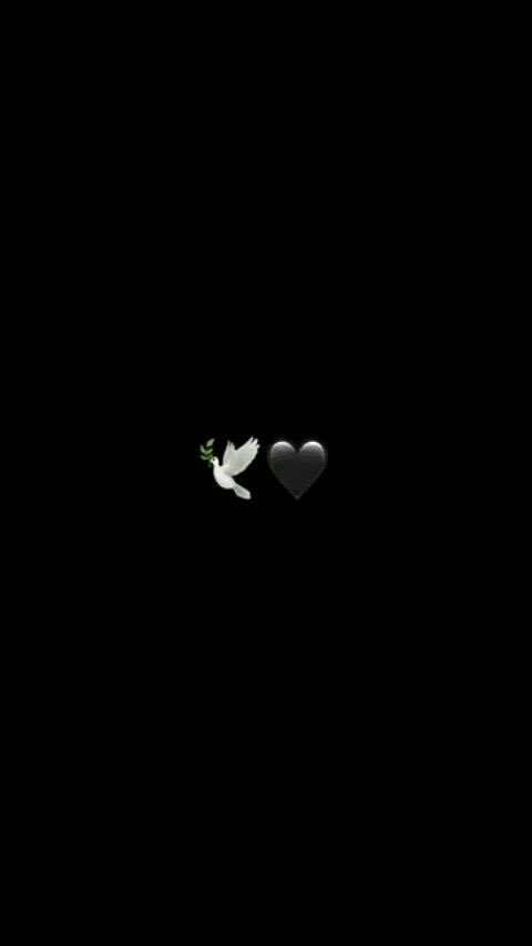 trefle2coeur's tweet image. Le deuil, c’est l’écho d’un amour qui n’a plus d’adresse
On parle au silence, on serre l’absence,
C’est murmurer un « je t’aime » au ciel, espérant qu’il l’entende. L’absence devient présence douce, invisible mais fidèle
Et chaque battement de cœur dit : tu vis encore, en moi.🤍
