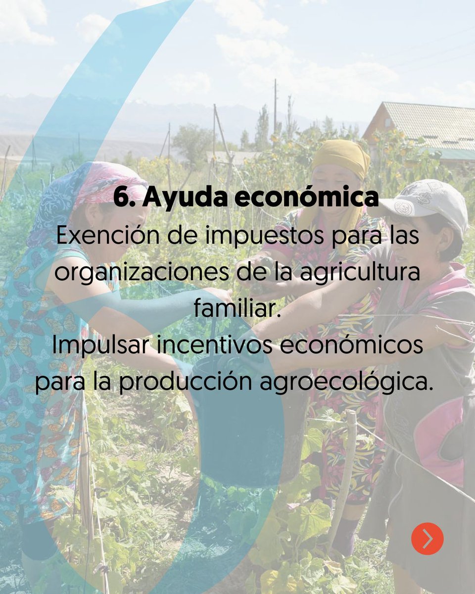 tierraYODS tweet media