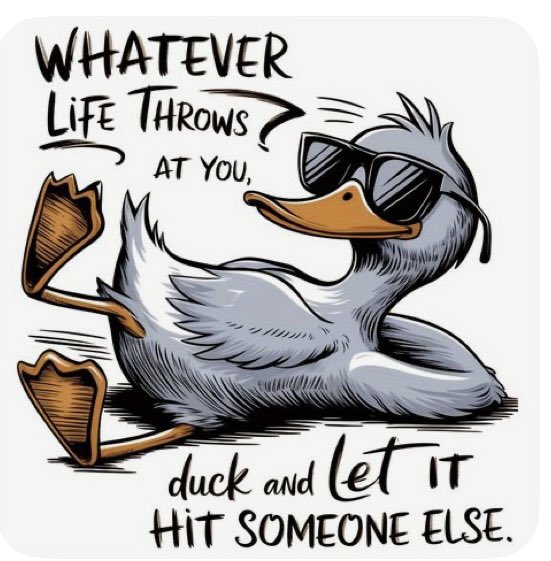jcage48's tweet image. GM $QUAKK fam chill Friday! Hope everyone’s day is amazing