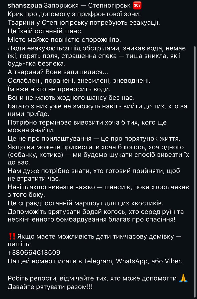 neauthorka's tweet image. ❗️🆘Евакуація зі Степногорська.
Якщо маєте можливість врятувати прихистком хоч одного хвостика - не проходьте повз🥺