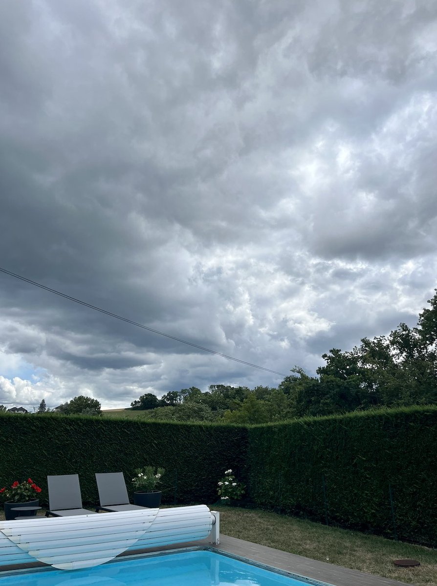 alephhackathon's tweet image. no better setup to approve our first batch of hackers:
🧉 the best mate from @LiskHQ to give you energy
🐶 two (old) dogs to keep you company
🌩 an incoming storm to make it cosy
if you haven't applied yet, it's tiiiiime
if you have, check your inbox!