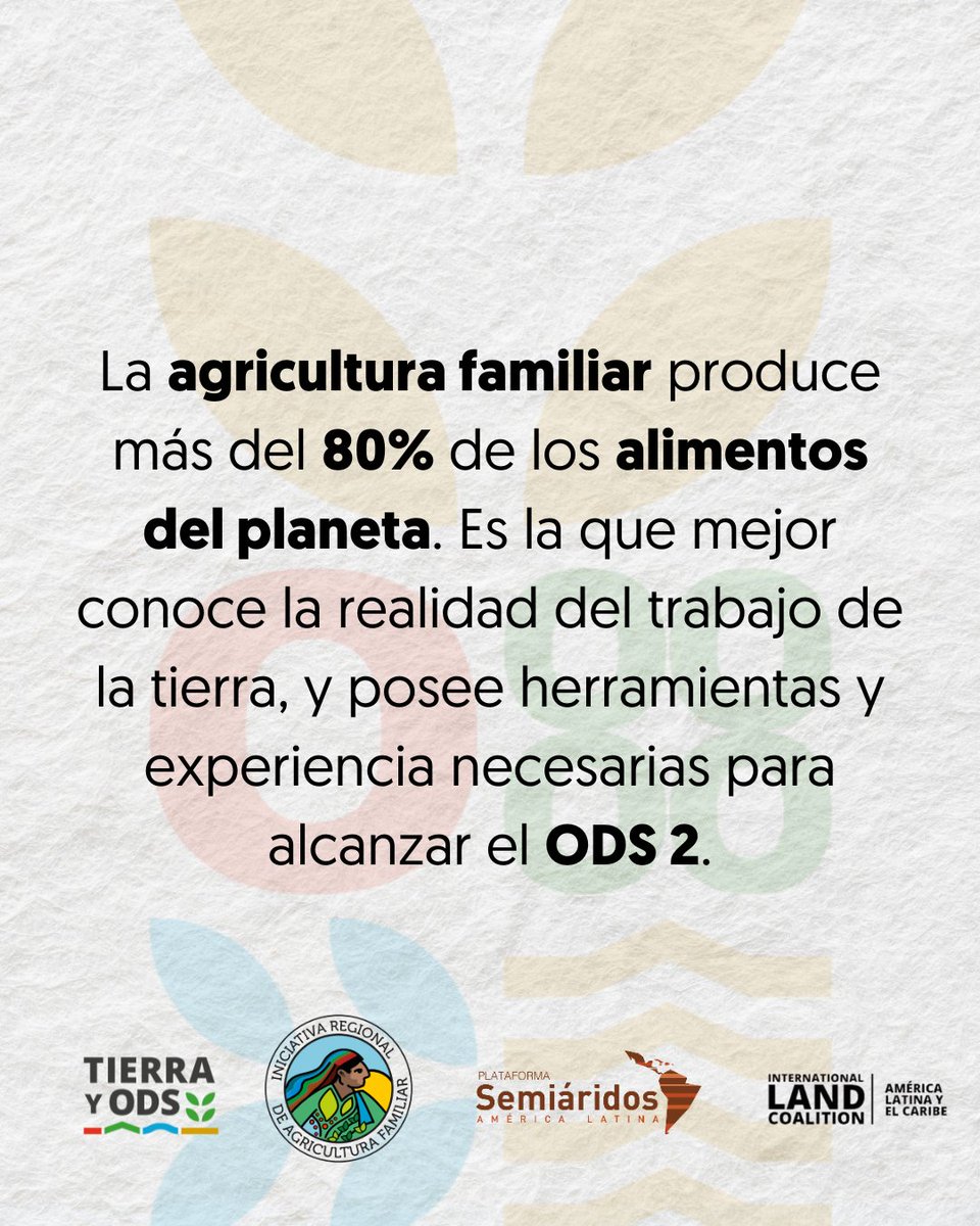 tierraYODS tweet media