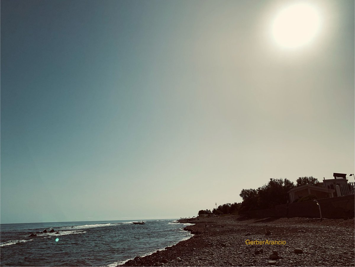 “Noi siamo ciò su cui manteniamo il silenzio”

✒️ S. Márai, Le braci

📷 GerberArancio