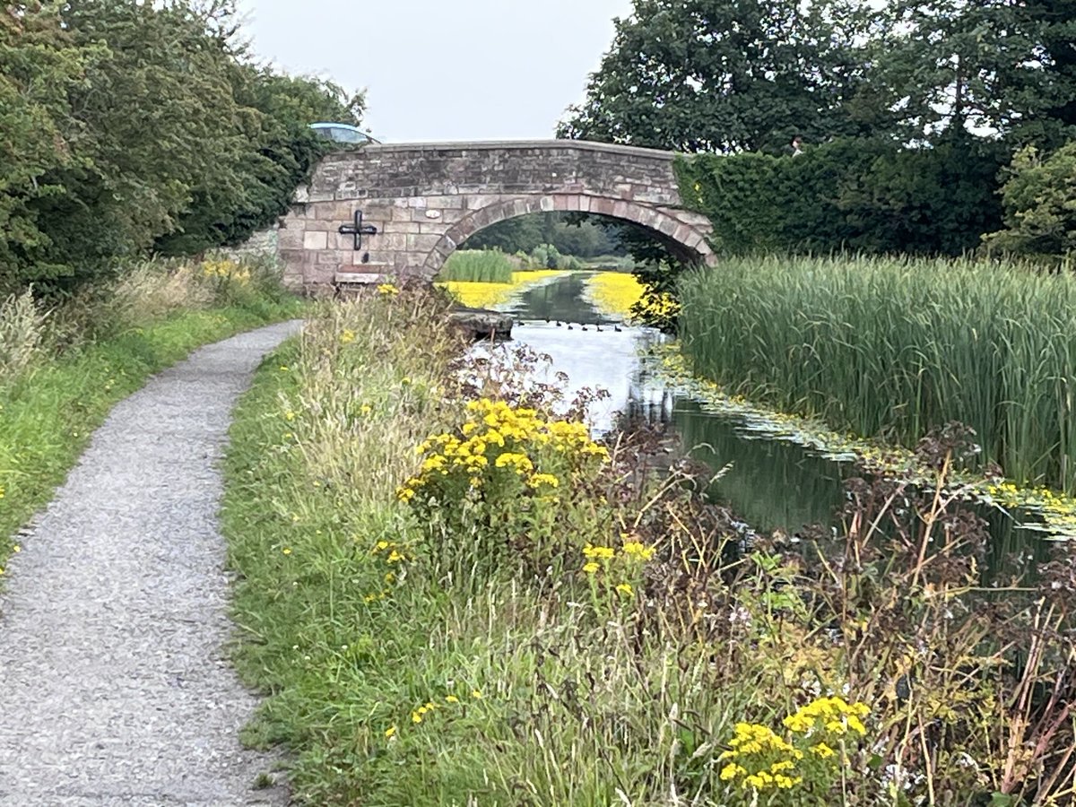flyabout7's tweet image. A cracking 30 mile spin on the mountain bike this morning.

Bumped into 2 old colleagues &amp;amp; ended up having a brew with them. 

One was waking a lovey Flatcoat Retriever. 

Steven Gerrard the former Liverpool player said hello while out walking his dogs. 

A good day all round! 😎