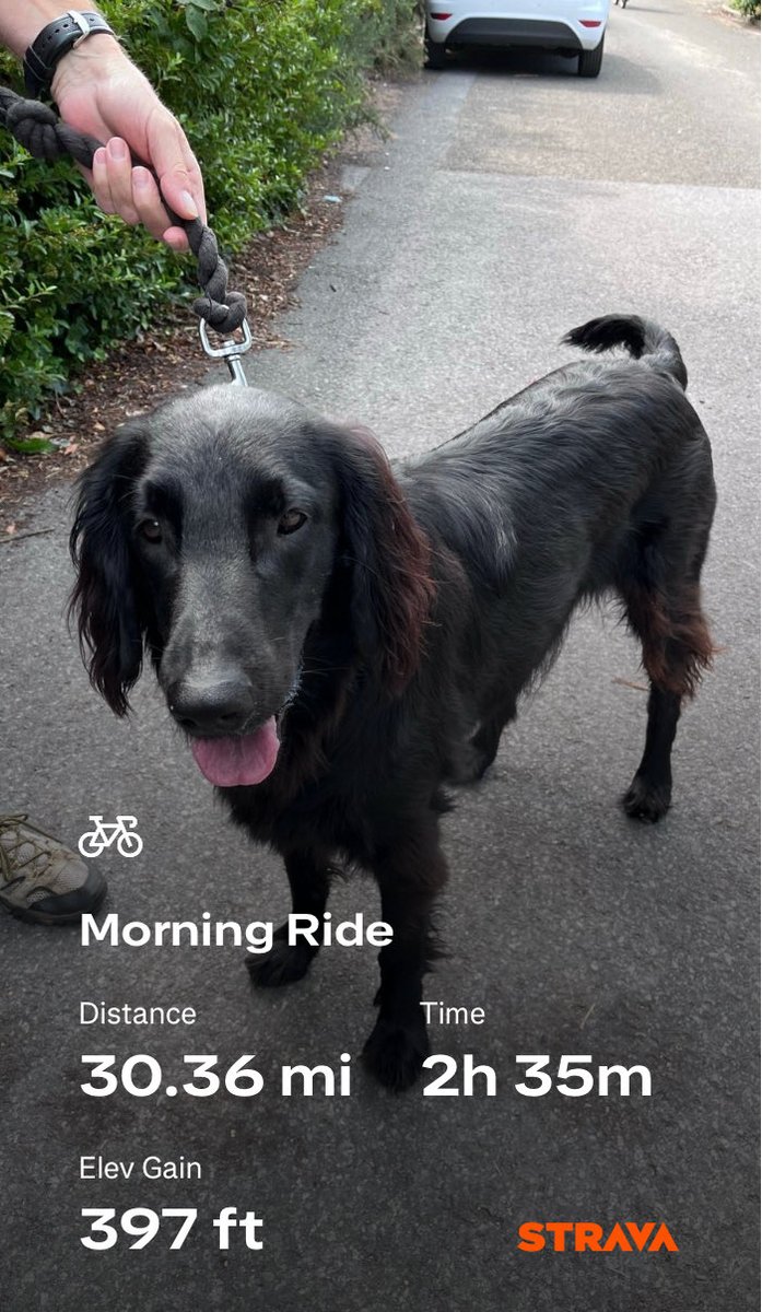 flyabout7's tweet image. A cracking 30 mile spin on the mountain bike this morning.

Bumped into 2 old colleagues &amp;amp; ended up having a brew with them. 

One was waking a lovey Flatcoat Retriever. 

Steven Gerrard the former Liverpool player said hello while out walking his dogs. 

A good day all round! 😎